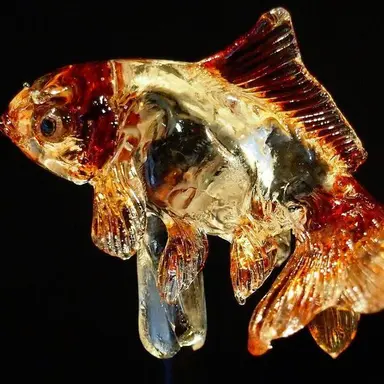 Profile image of 류타