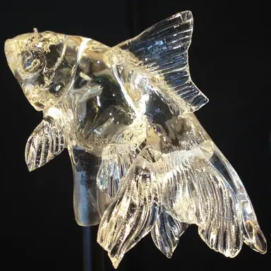 Profile image of 신이치로