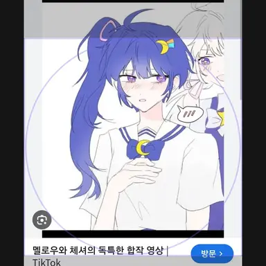 Profile image of 체시