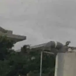 Profile image of 大森元貴