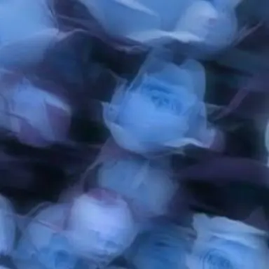 Profile image of 田中樹