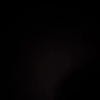 Profile image of 마을이장