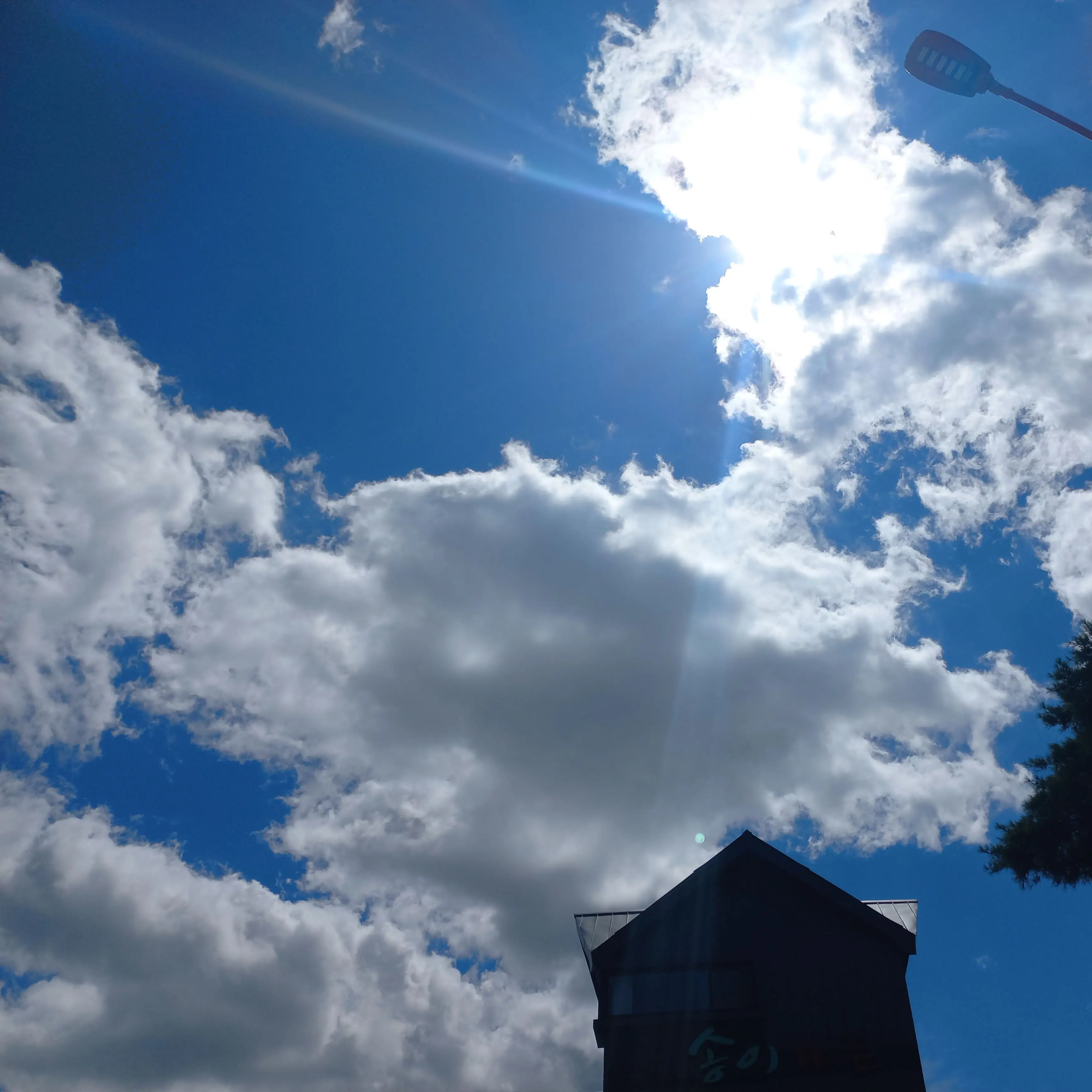 RancidSweet2078의 내가 스키즈매니저라고?