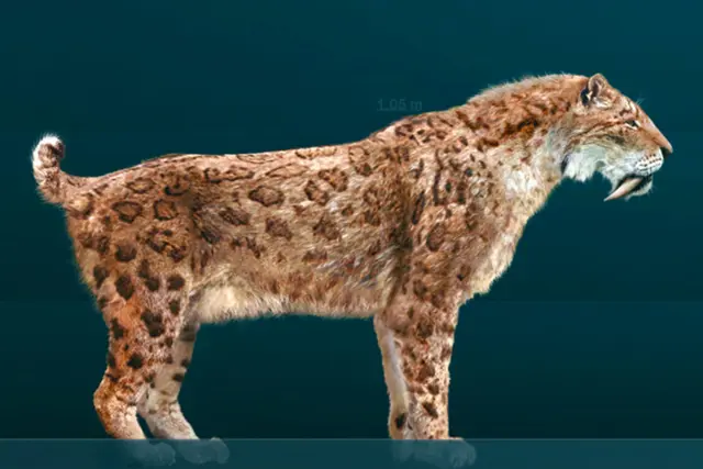 Profile image of Smilodon