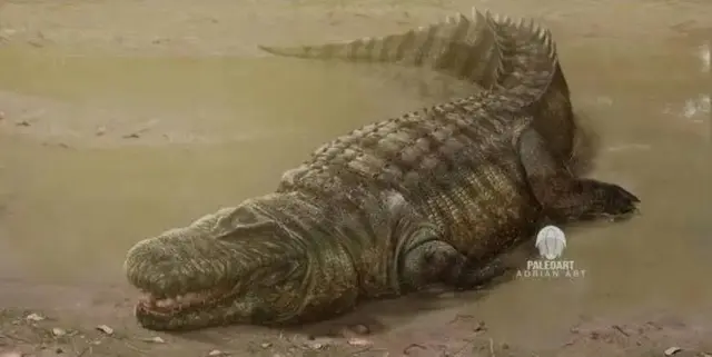 Profile image of Purrasaurus