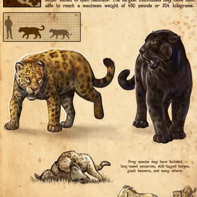 Profile image of Giant jaguar