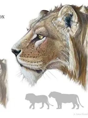 PromptPress5994의 The pleistocene.