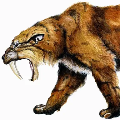 Profile image of Smilodon