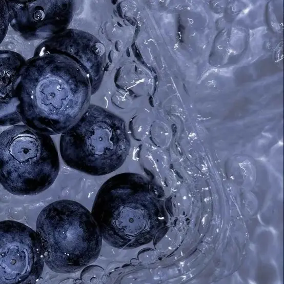 Hachi._.922의 精神病院