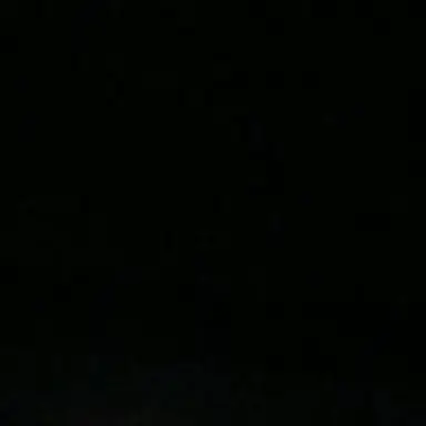 Profile image of 학교축제