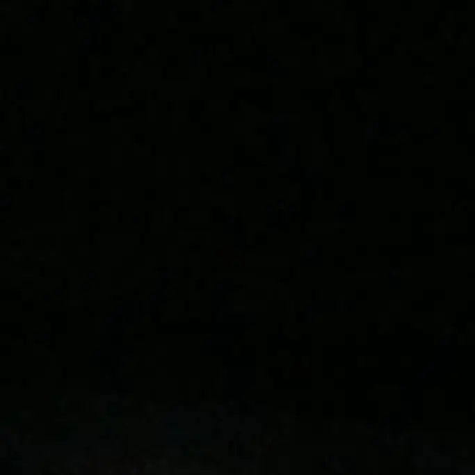 hssqo123의 학교축제(유튜버)