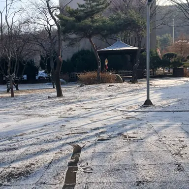 Profile image of 이랑