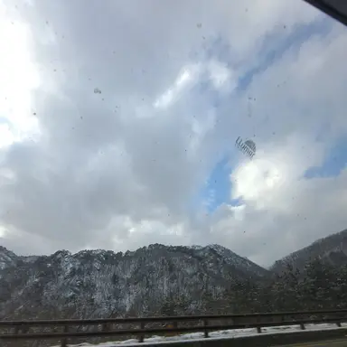 Profile image of 댄디