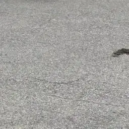 DampRake1419의 実験大好き♡