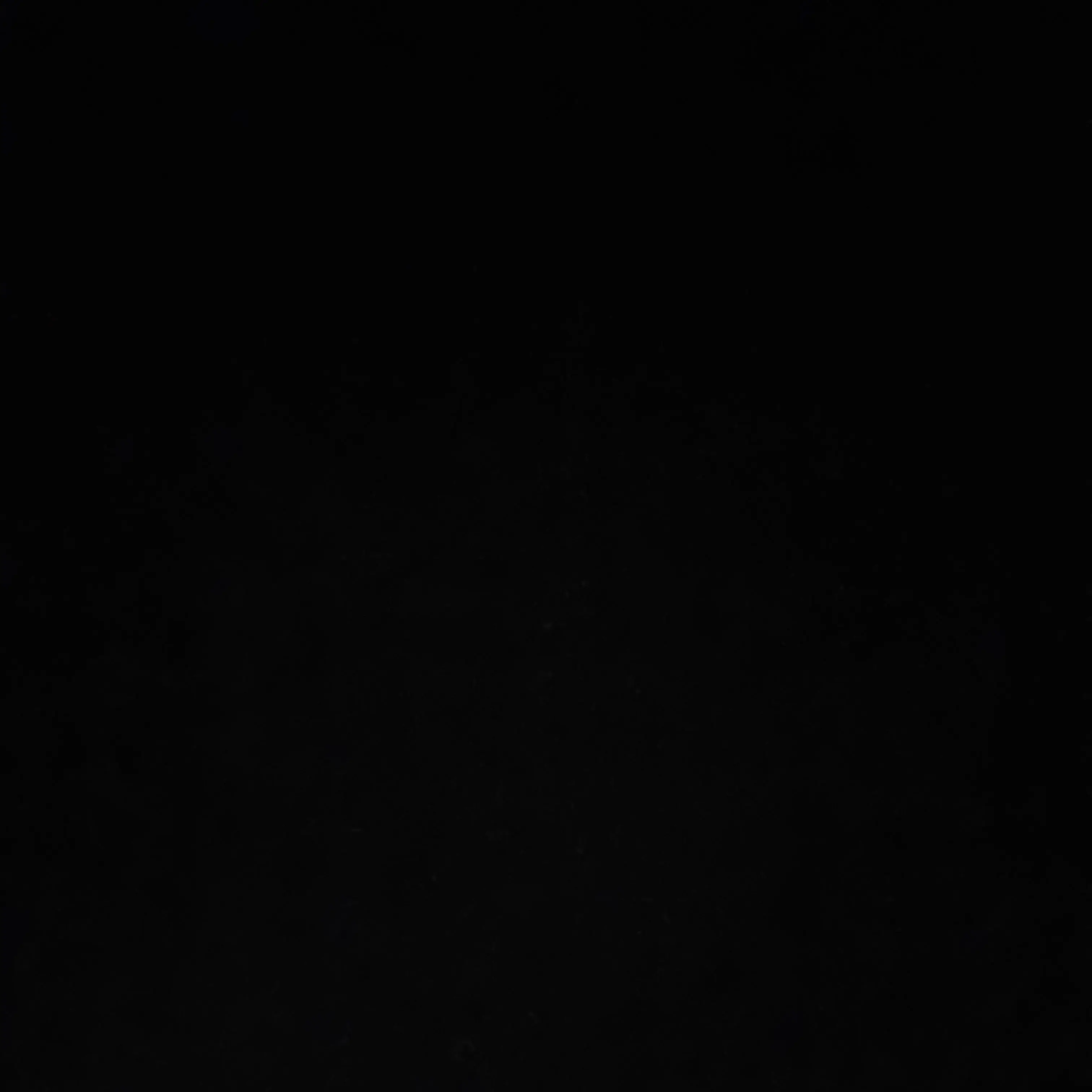 QuietYawn7856의 집주인