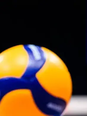 volleyball.fan8-1120의 マフィアパロ