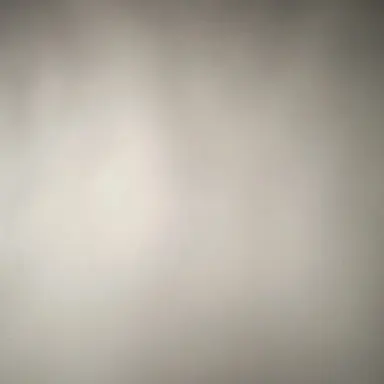 Profile image of 유저