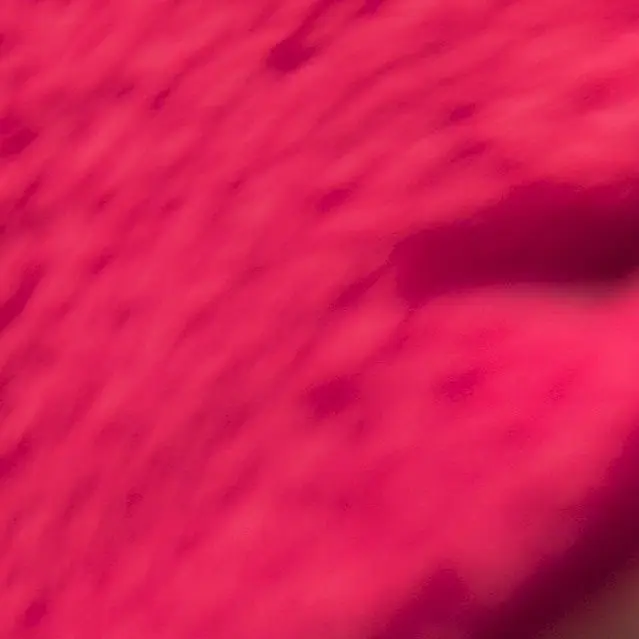 CrispPhoto0159의 ゆあんくん