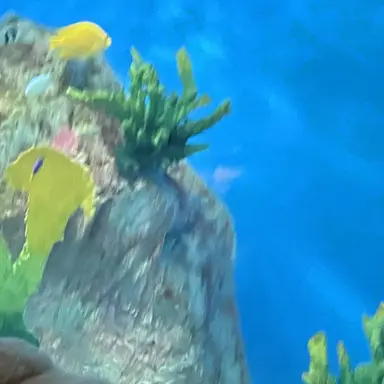 Profile image of スモーカー