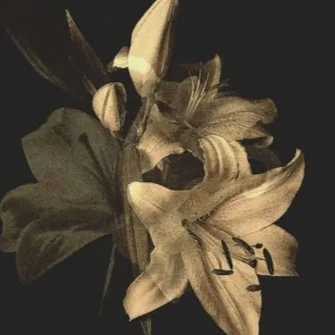 Profile image of 준브레드