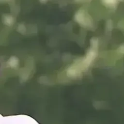 이지훈