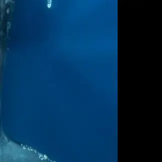 Profile image of 大森 元貴