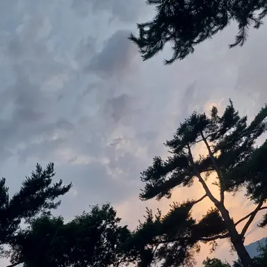 Profile image of 제미니