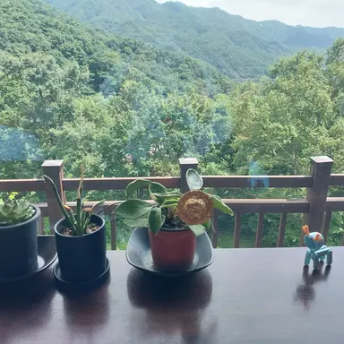 Profile image of 류