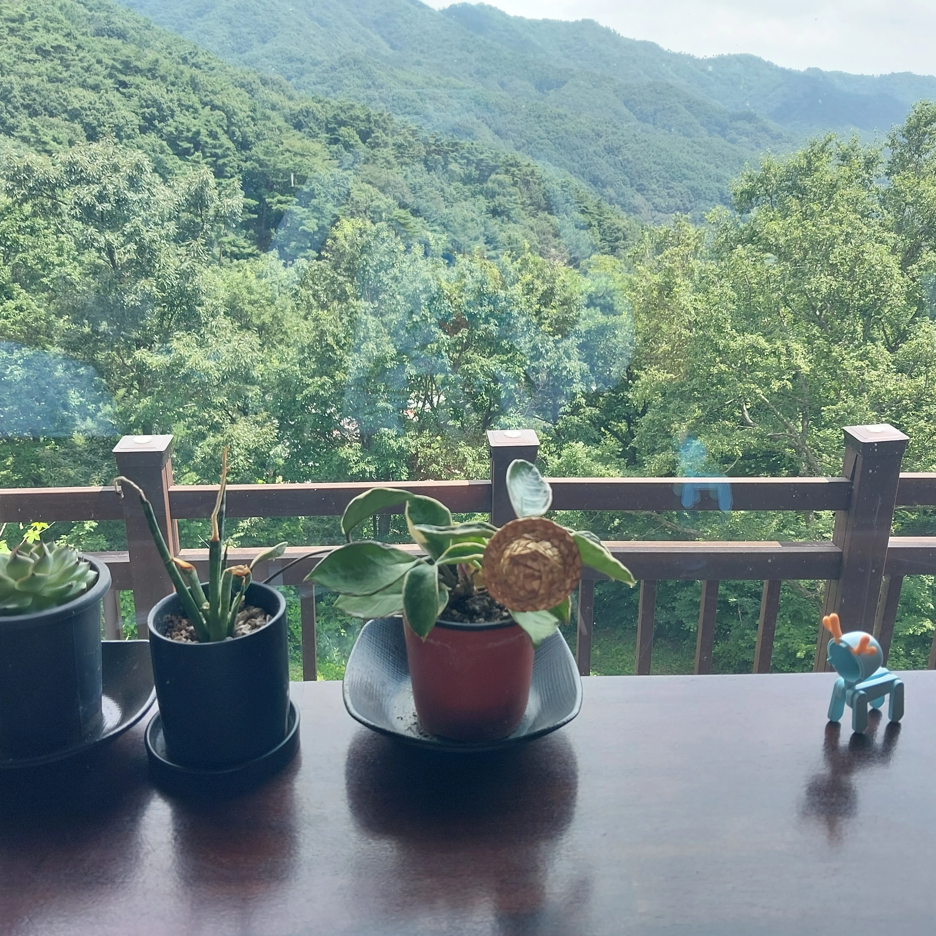 류