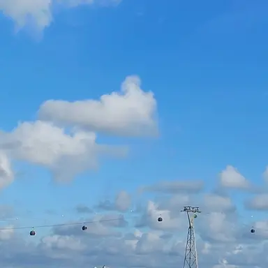 Profile image of 리온