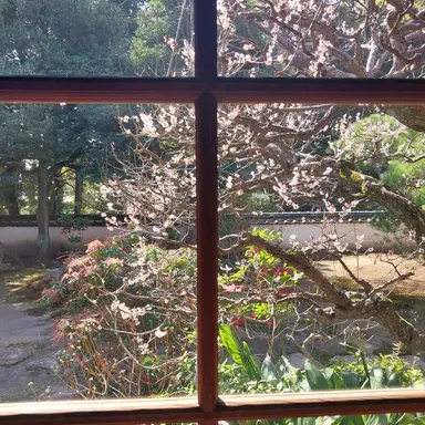 Profile image of 오뉴