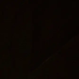 Profile image of 変態なファン