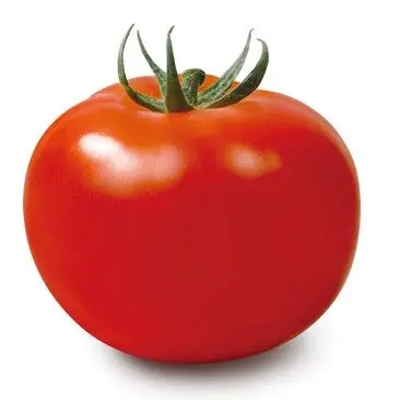 Profile image of 토마토
