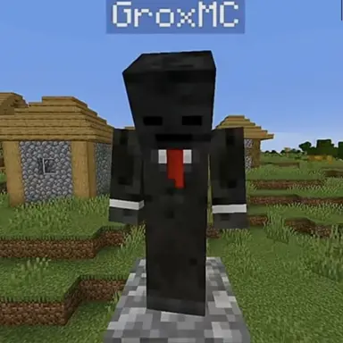 Profile image of GROX
