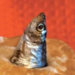 Profile image of 神ならぬ髪