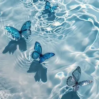 Profile image of 포세이큰. 여우