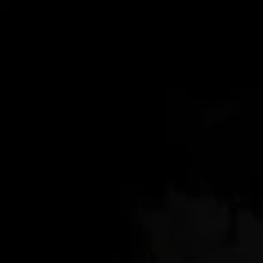 Profile image of 여우