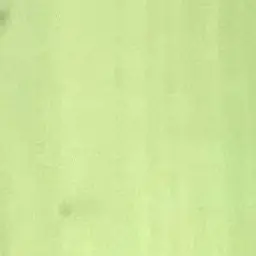 Profile image of 한지아