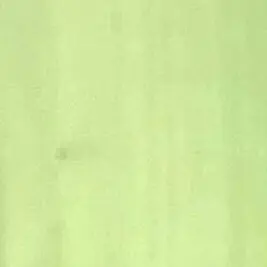 Profile image of 한지연