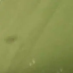 Profile image of 한동민