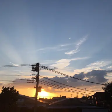 Profile image of はると