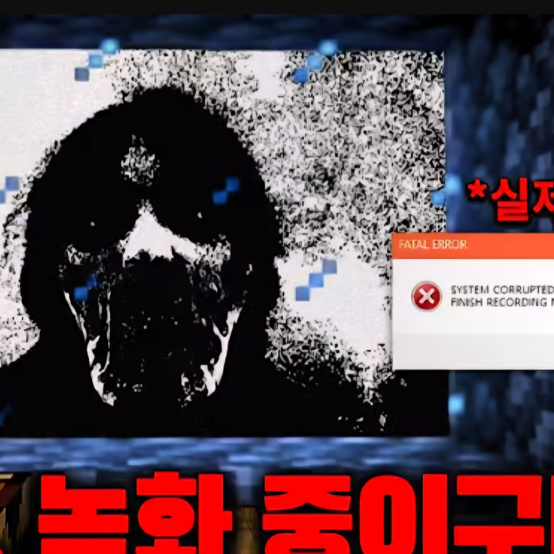 Inside the syestem. 대표 이미지