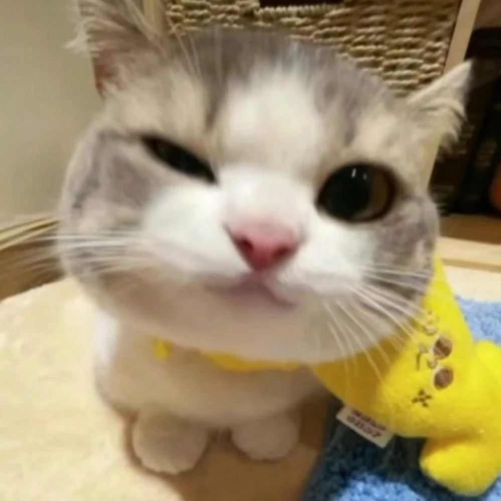 폰잼린