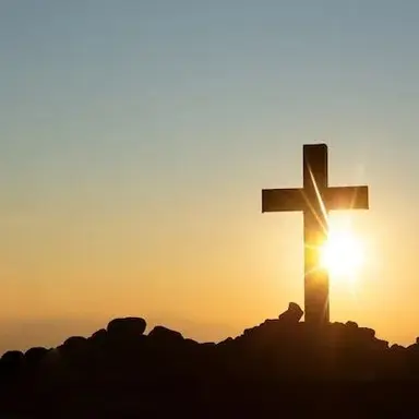 Profile image of ㅅㅇㅎ