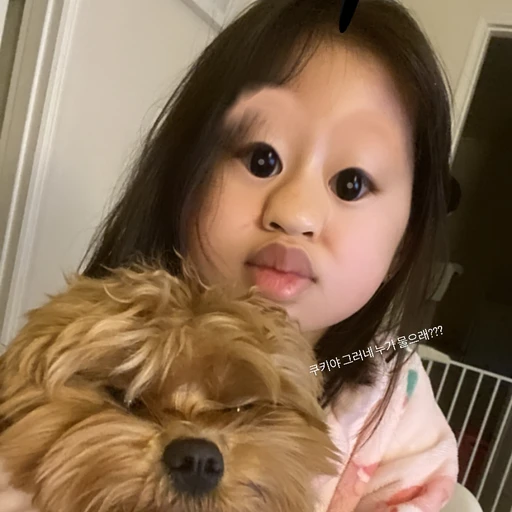 앙소효