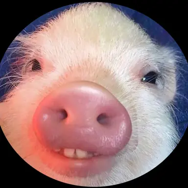 Profile image of Watashino Yeoune