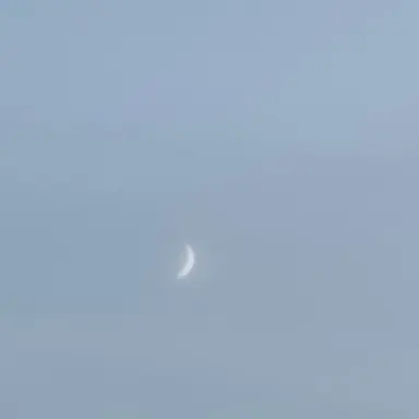 Profile image of 감제이