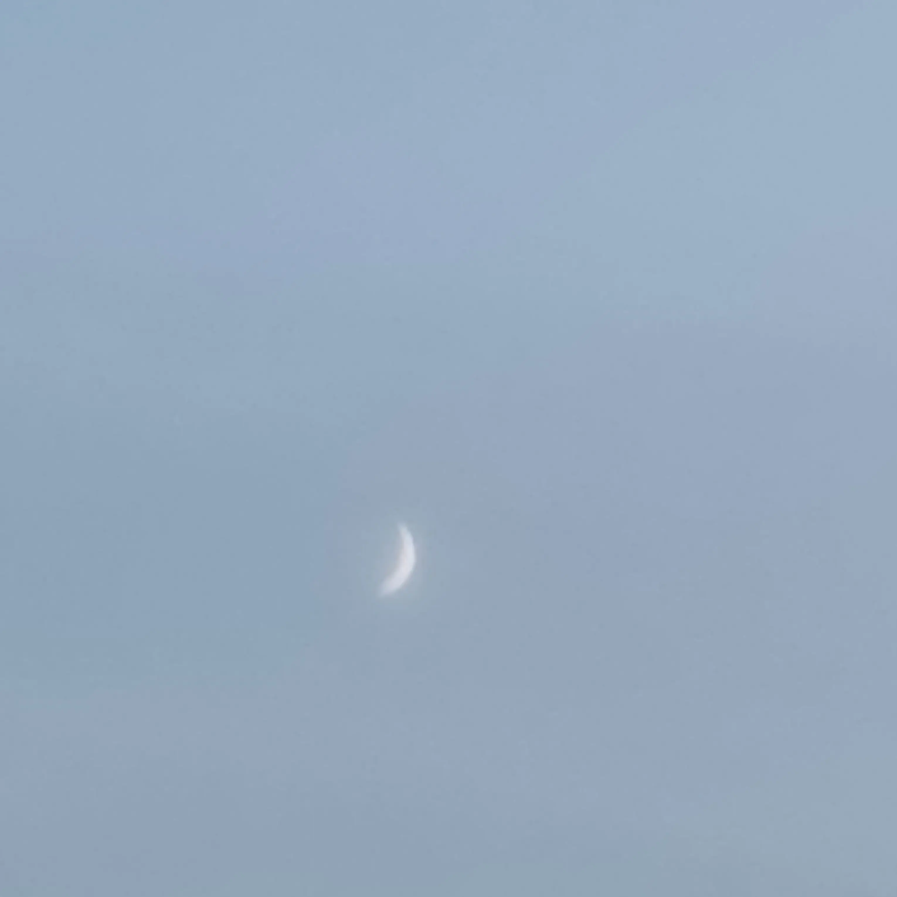 DullCar0994의 싸이코드 합방