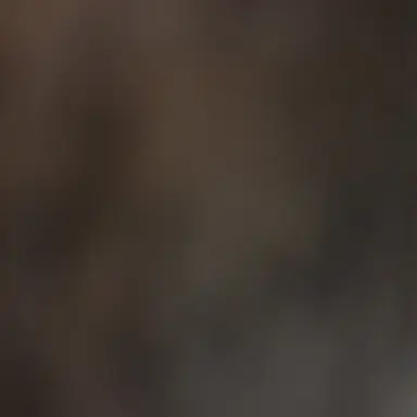 Profile image of 보건선생님 괴물