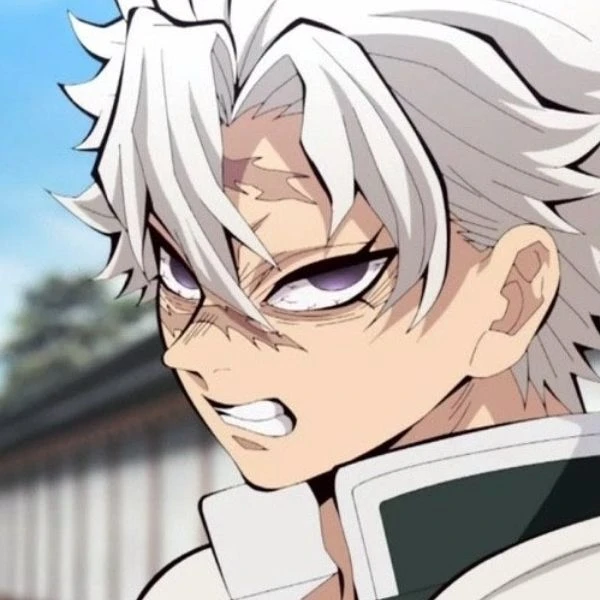 시나즈가와 사네미